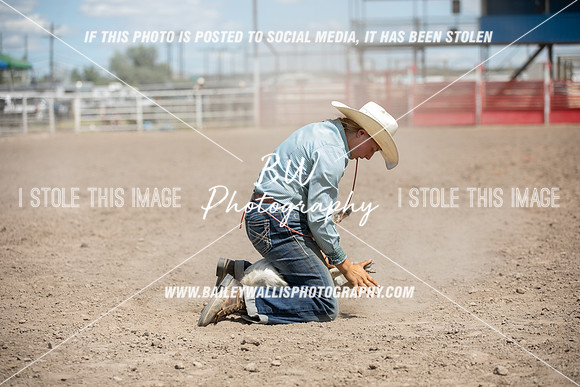 PO1_4275