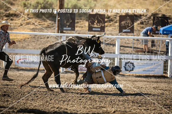 RR2_0434