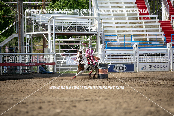OK1_3845