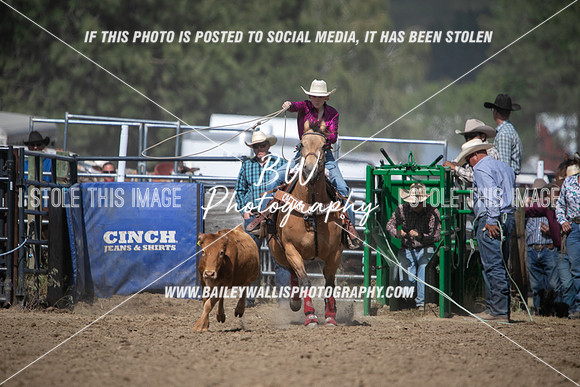 HS1_3375