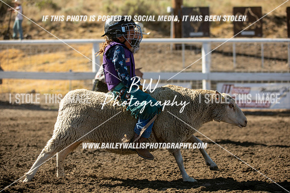 RR1_0099