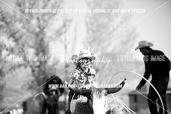 TR1_0039-2