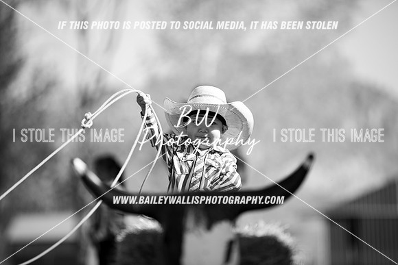 TR1_0055-2