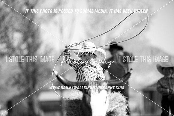 TR1_0082-2
