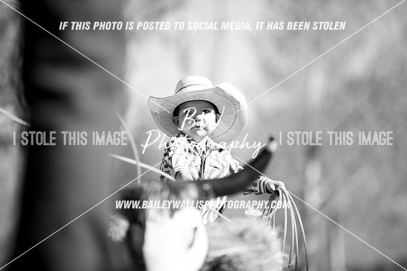 TR1_0109-2