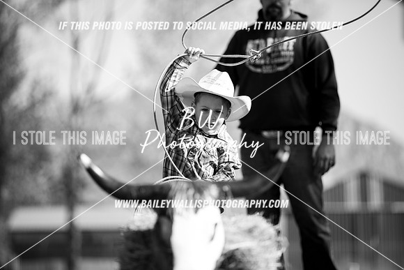 TR1_0114-2