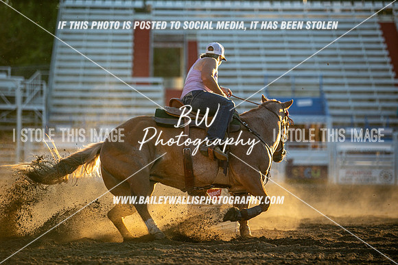 RFD_0831