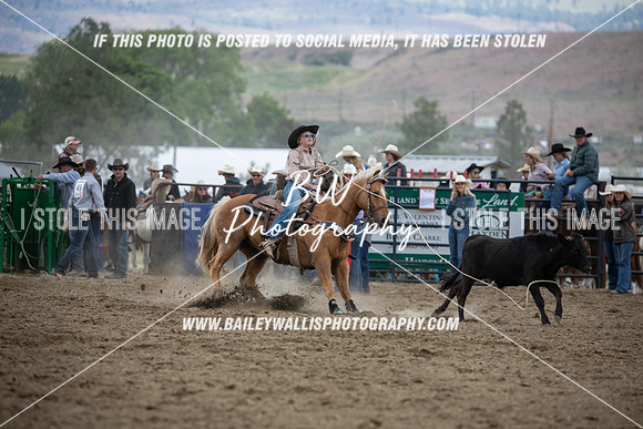 HS1_2326