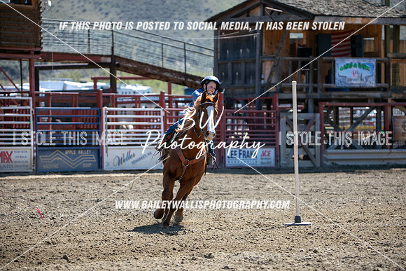 TR2_4347