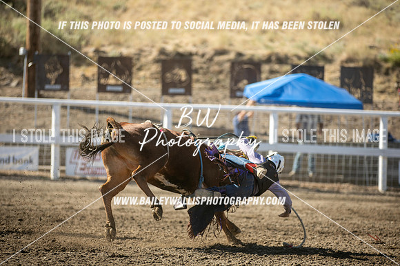RR2_0389