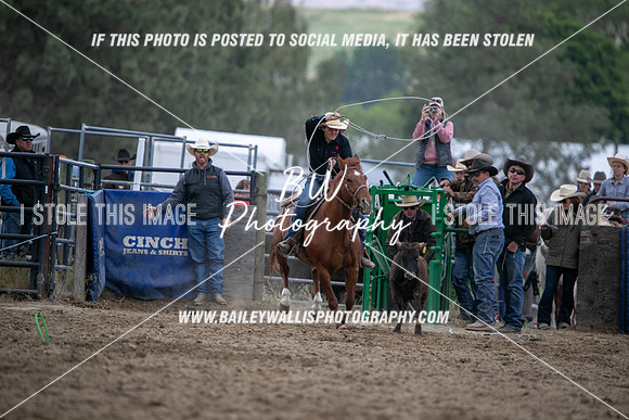 HS1_2246