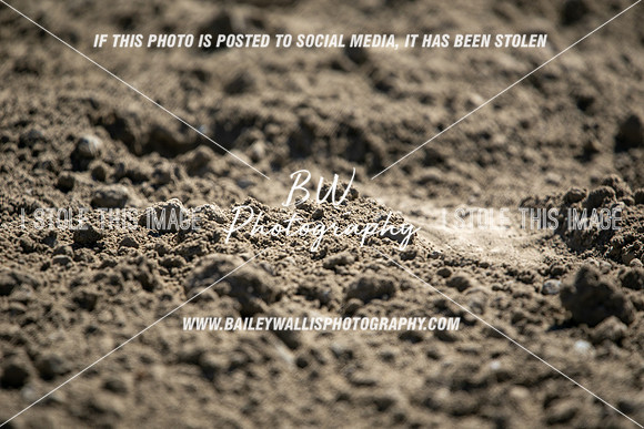 TR2_4571