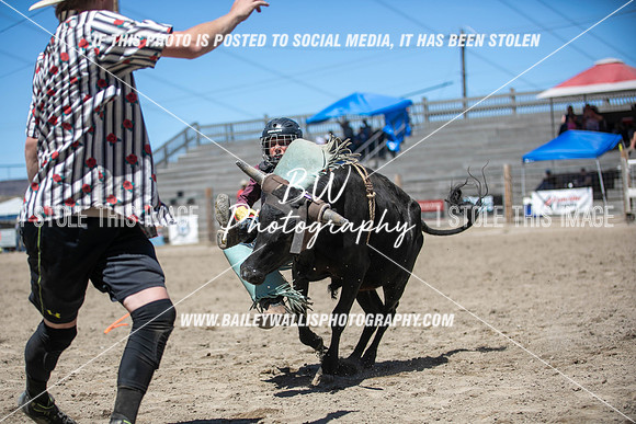 RR1_2585