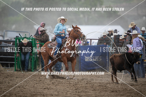 HS1_2391