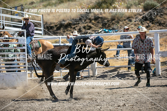 RR2_4597