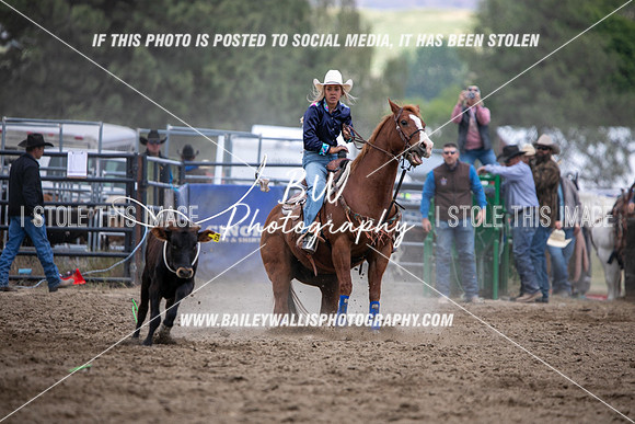 HS1_2182
