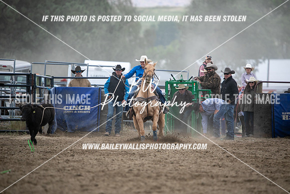 HS1_2360