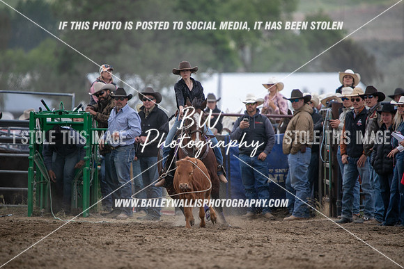 HS1_2269