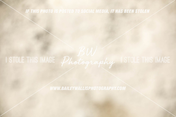 RR1_1691