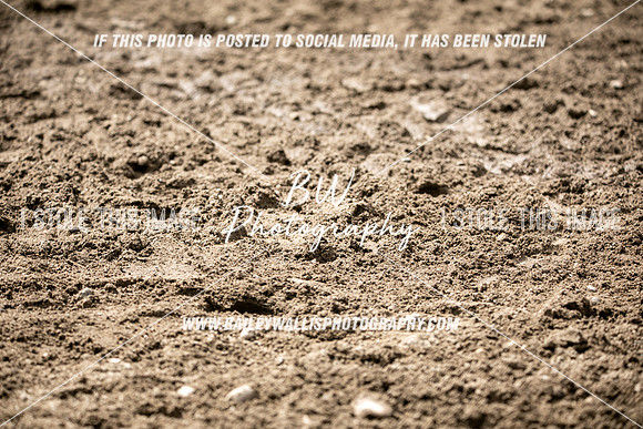 NR2_3351