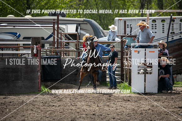 NR2_3336