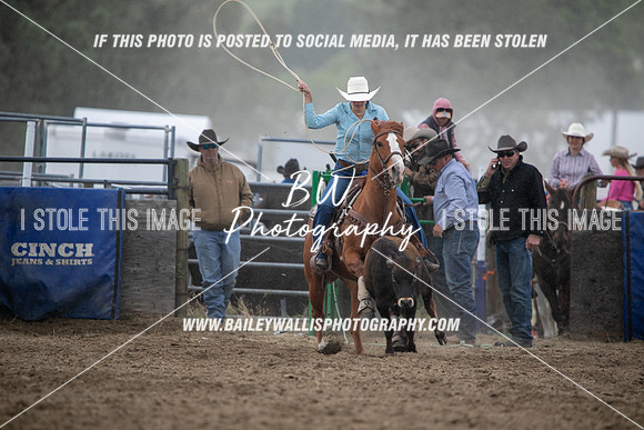 HS1_2380