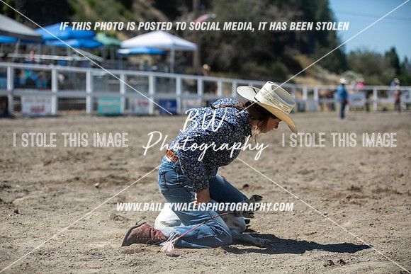 RR2_2826