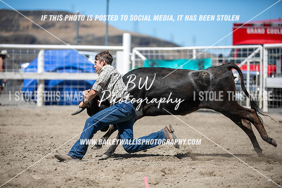 RR1_3982