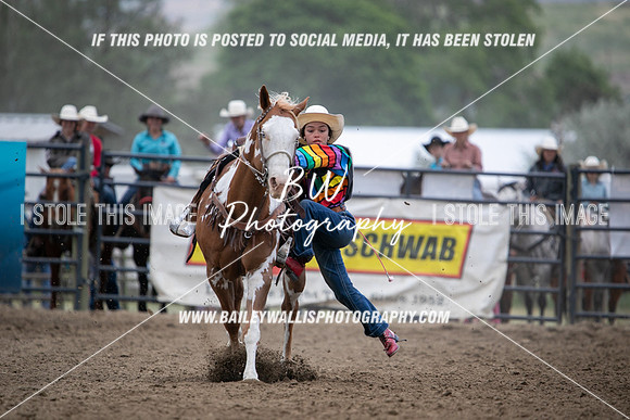 HS2_3351