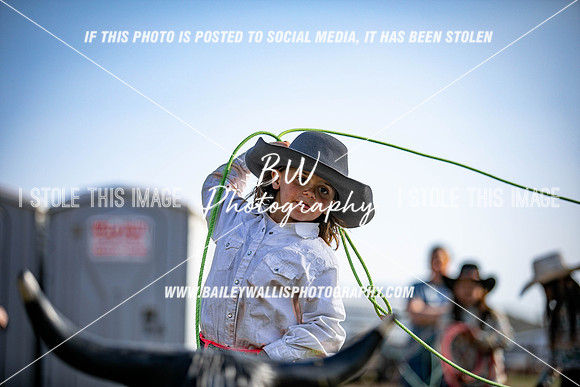 TR1_5904