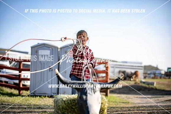 TR1_6215