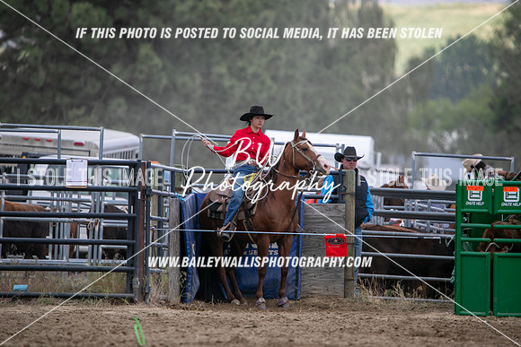 HS1_2218