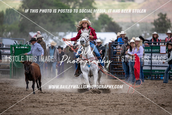 HS1_2194