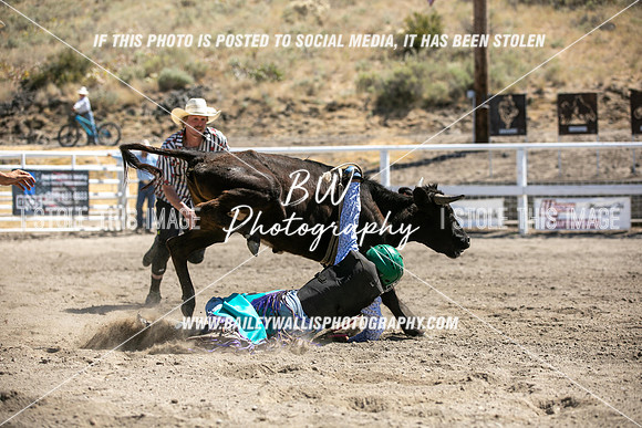 RR2_4643