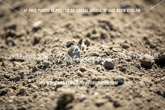 TR2_5191