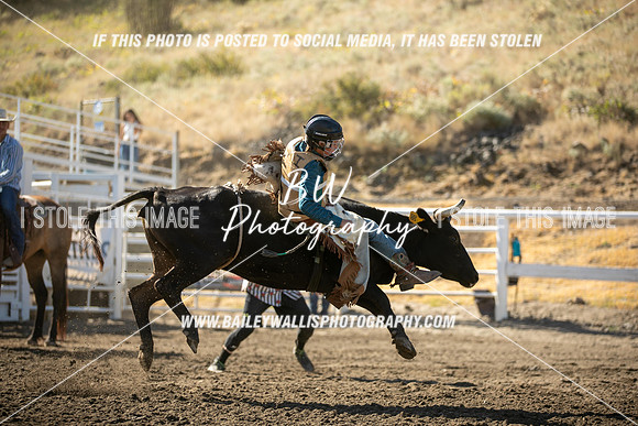 RR2_0428