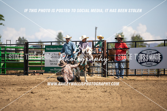 POR_2466