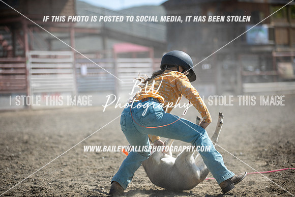TR2_5697