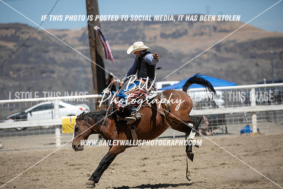 RR2_3322