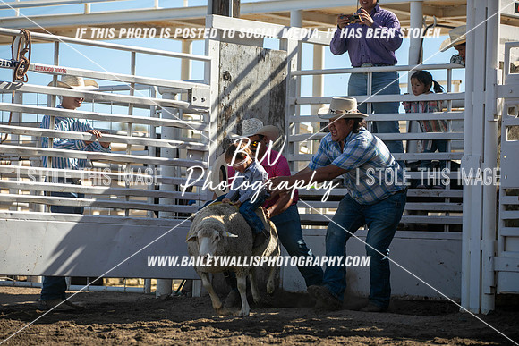 RR1_0234