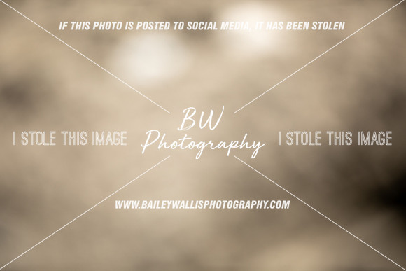 TR2_1907