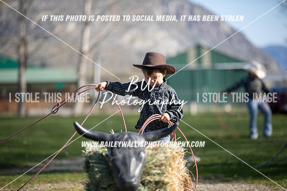 TR2_0010