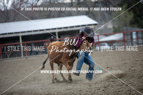 TR1_3654