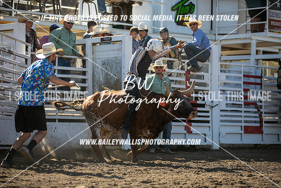 RR2_0395