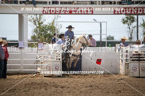 HSF_0960