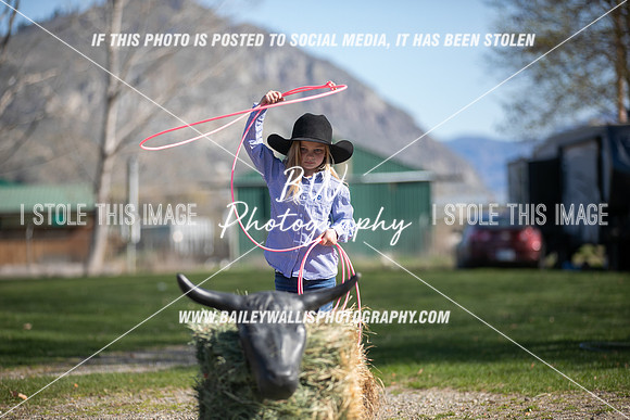 TR2_0356