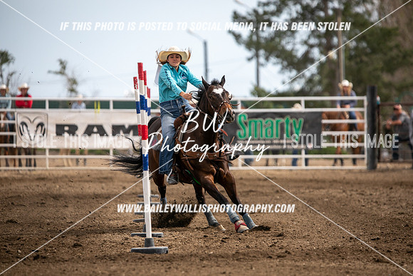 HS2_4666
