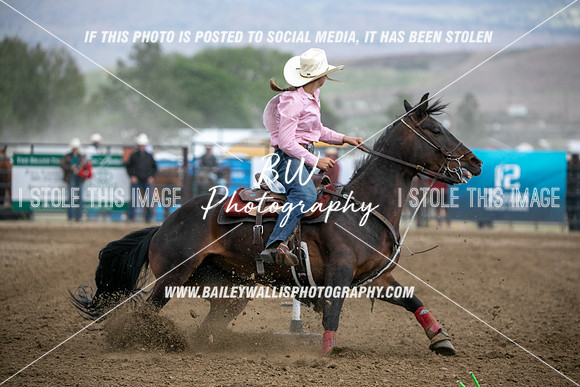 HS1_4020