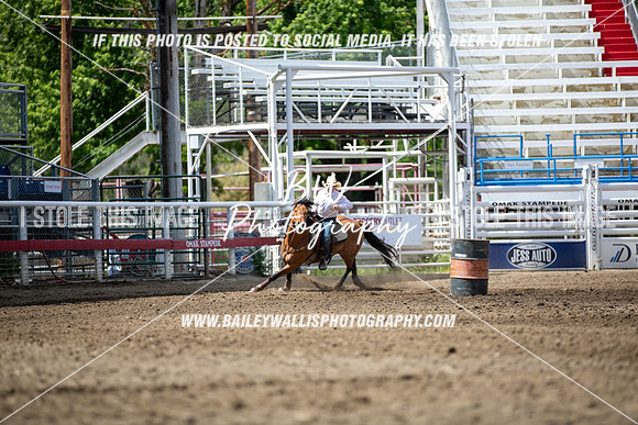OK1_3397