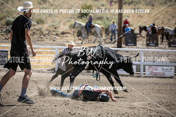RR1_3761